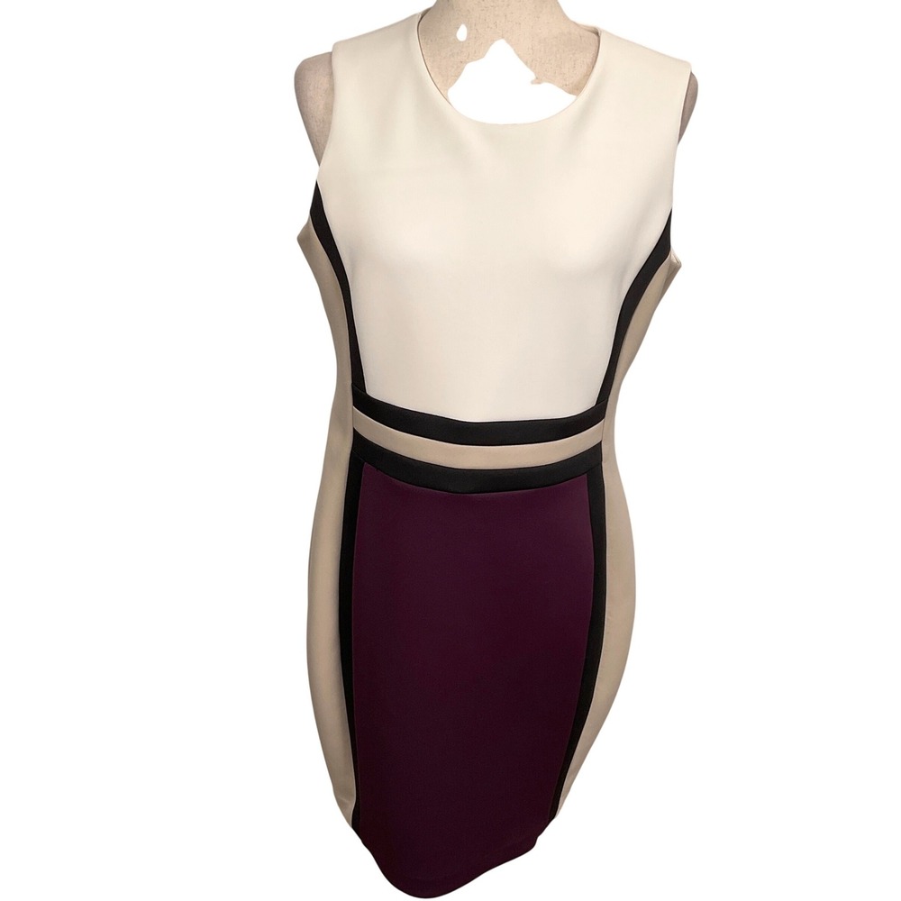 Calvin Klein Sheath Dress Women 12 Plum Cream Colorblock Scuba Classic Office